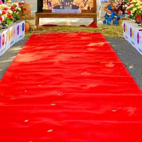 엘림 레드카펫: 행사의 품격을 높이는 최고의 선택