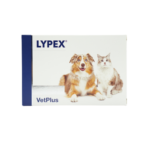 포베츠 라이펙스(LYPEX) 강아지 고양이 췌장효소 보충제 60캡슐