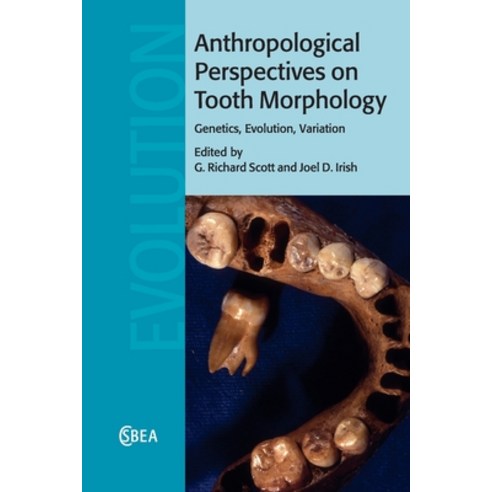 Anthropological Perspectives on Tooth Morphology: Genetics Evolution Variation Paperback, Cambridge University Press