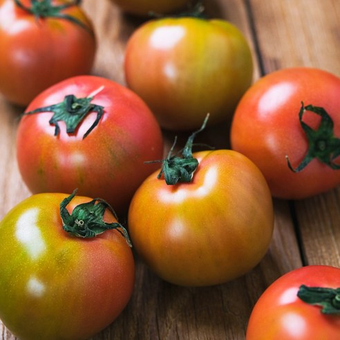 입안 가득 퍼지는 행복, 짭짤이 토마토로 잃어버린 입맛 되찾기! 대저짭짤이토마토