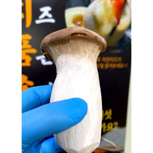 자연을 담은 캠핑의 맛, 버섯구이 인싸템으로 즐거운 미식 경험을!