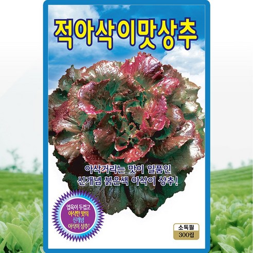 KS종묘 적아삭이맛상추 씨앗 300립 상추씨 종자, 1개