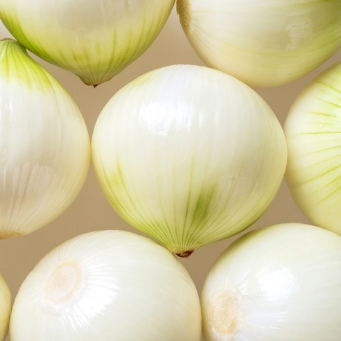 대지의 숨결을 담은 2025년 햇양파, 식탁에 건강한 풍요를 더하다