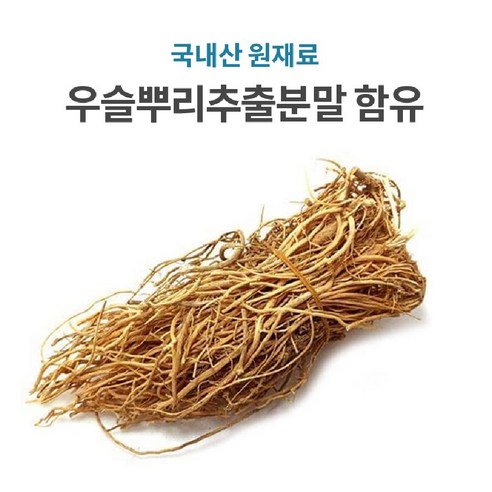 웰핏 소연골 콘드로이친 1200 MBP, 60정, 5개