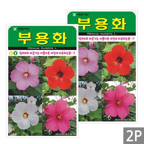 세인화분 부용화 100립 - 국산 야생화 꽃 씨 씨앗, 2개