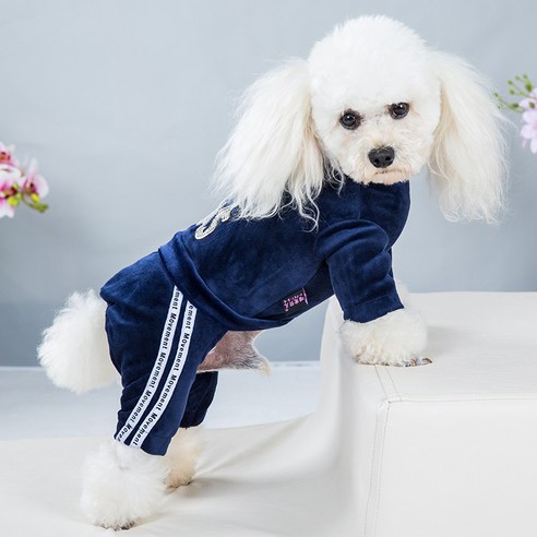 골든 벨벳 강아지 옷 네발 맨투맨 봄가을옷 테디 소형견 옷 스포츠 점프슈트 애완용 네발옷, 블루, 블루