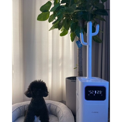 건강한 공기를 위한 완벽한 선택