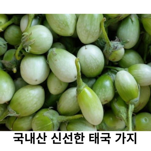 국내산 신선한 태국 가지 500g 1kg 국산 마크아 커밋 가지 흰가지 그린커리, 1개