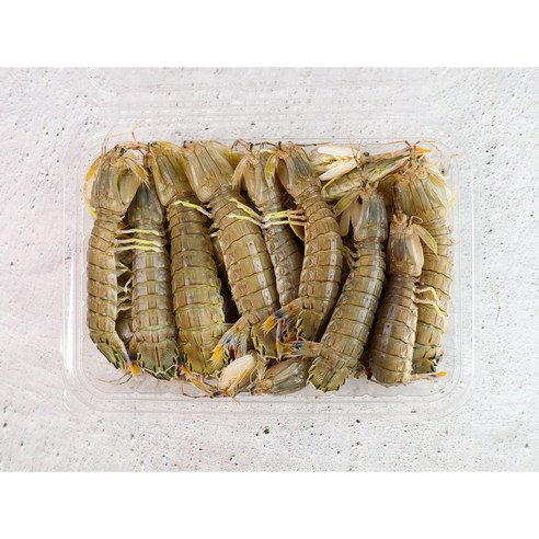 톡톡 터지는 식감과 깊은 바다 향, 자연산 갯가재로 식탁을 풍성하게!