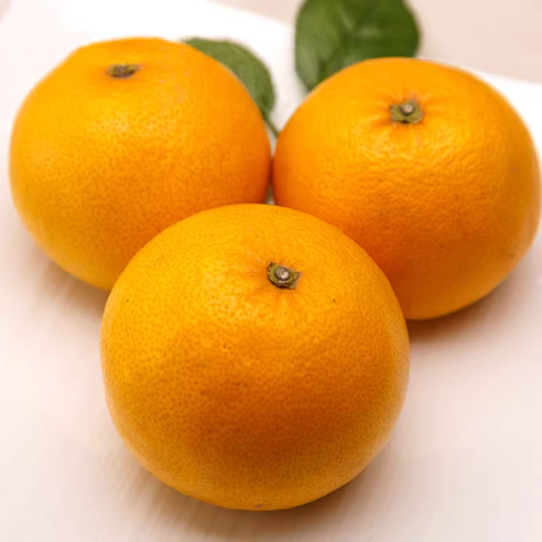 [농장직배송] 제주 카라향 신선보장 고당도, 1박스, 3kg