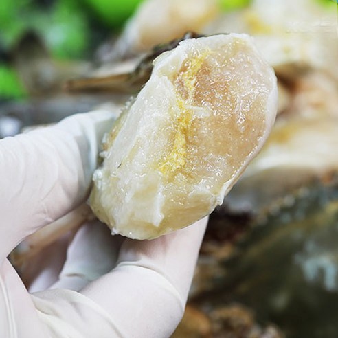 싱싱한 바다의 맛과 가성비 넘치는 연평도 급냉 숫꽃게