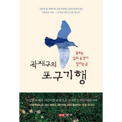 곽재구의 포구기행:꿈꾸는 삶의 풍경이 열리는 곳, 해냄출판사, 곽재구