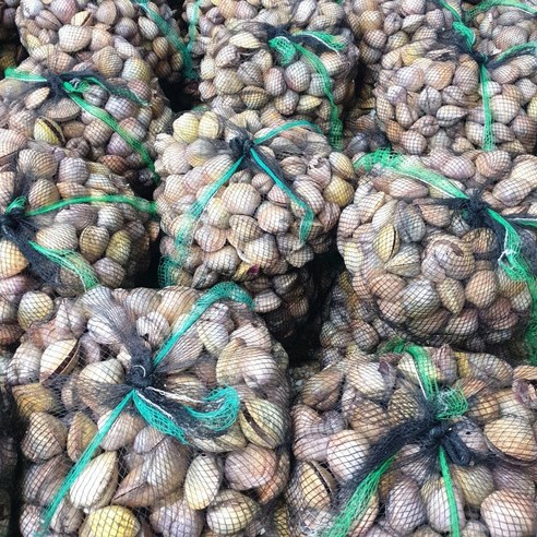 신선도와 품질이 보장된 여수 새조개