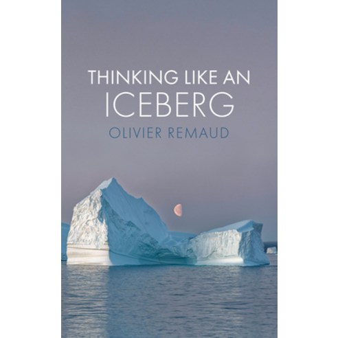 (영문도서) Thinking Like an Iceberg Paperback, Polity Press, English, 9781509551477