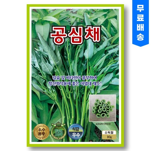 공심채씨앗 (10g) 공심채 종자 씨 모닝글로리 씨앗, 1개
