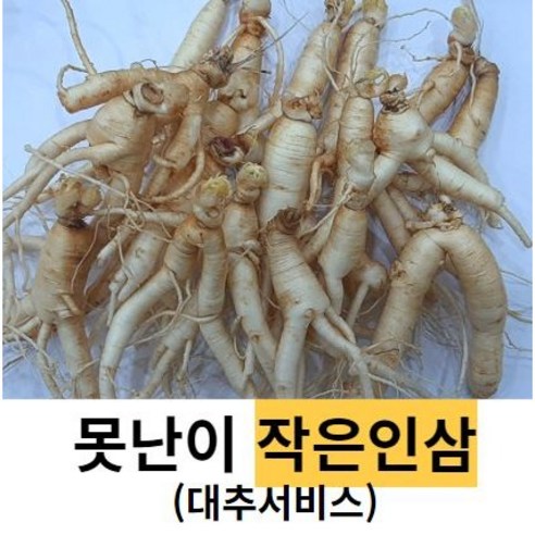 못난이 작은 파삼 세척못난이 40-50뿌리 금산인삼 수삼 파삼, 300g 15-20뿌리세척 (0) +못난이대추(30g), 1개