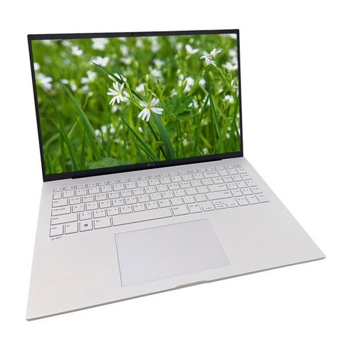 LG전자 2026 그램 Pro AI 17 코어Ultra5, 17Z90U-GS5WK, 512GB, 16GB, WIN11 Home