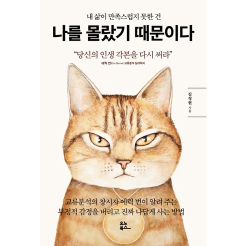 내 삶이 만족스럽지 못한 건 나를 몰랐기 때문이다:당신의 인생 각본을 다시 써라, 유노북스, 김정현 결국해내면그만이다 Best Top5