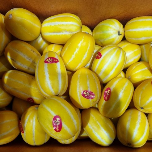 성주 고당도 꿀참외 가정용 소과 2kg