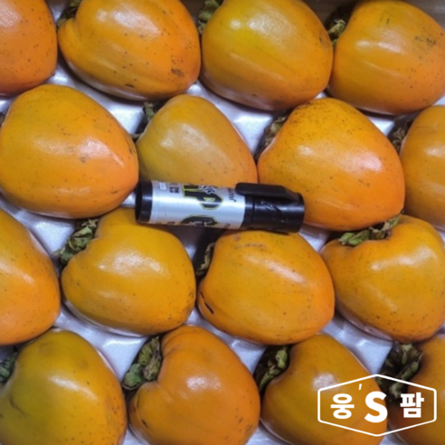 웅스팜 대봉감, 1개, 대봉감 10kg (30-40개)