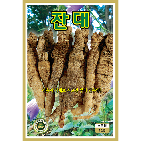 토종채소 씨앗 모음 종자 산나물 민속야채 재래종 고들빼기 곤드레 곰취 냉이 명이나물 방풍, 2개