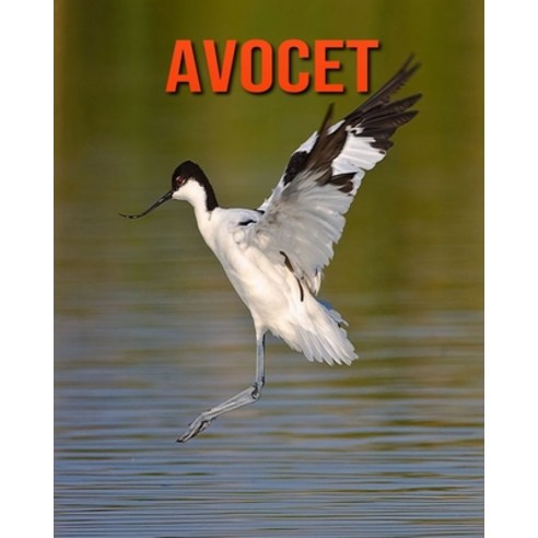Avocet: Super Fun Facts And Amazing Pictures Paperback, Independently Published, English, 9798693589445