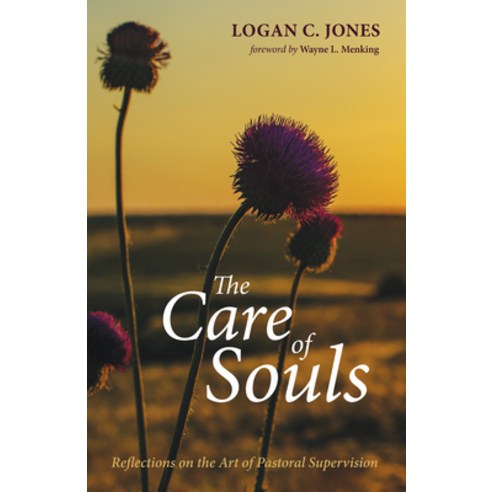 (영문도서) The Care of Souls: Reflections on the Art of Pastoral Supervision Hardcover, Wipf & Stock Publishers, English, 9781532673054