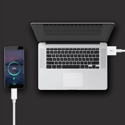 편리하고 빠른 충전을 위한 YOONH 윤한 C타입 to USB 고속충전 케이블