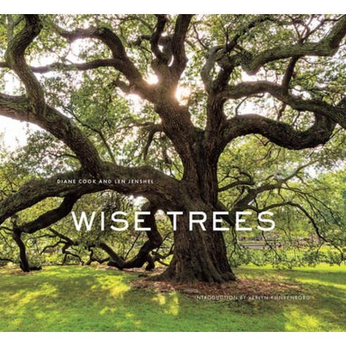 (영문도서) Wise Trees Hardcover, Harry N. Abrams, English, 9781419727009