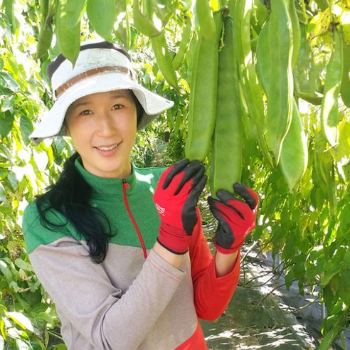 건강과 풍미를 담은 특별한 선택, 도두맘 마법의 블랙 작두콩차 세트