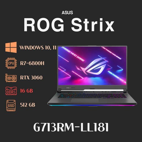 ASUS ROG STIRX G713RM-LL181 ( 16GB / 512GB / FD ) 17인치 게이밍노트북, WIN10 Pro, 64GB, 2512GB, 이클립스 그레이