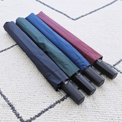 루이 2단 실버 무지 반자동 우산