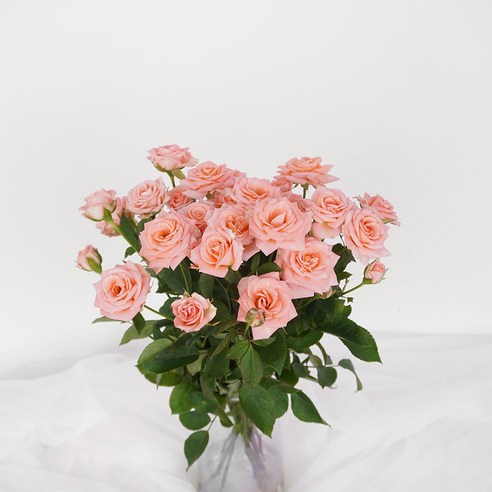 농장 직송의 신선한 장미 꽃다발로 집안에 봄의 기운을 불어넣으세요.
