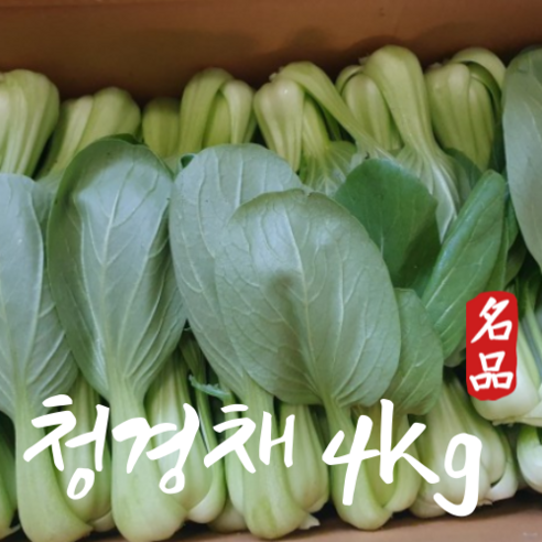 국산 농장직송 신선한 청경채 마라탕 청경채 4kg, 1개