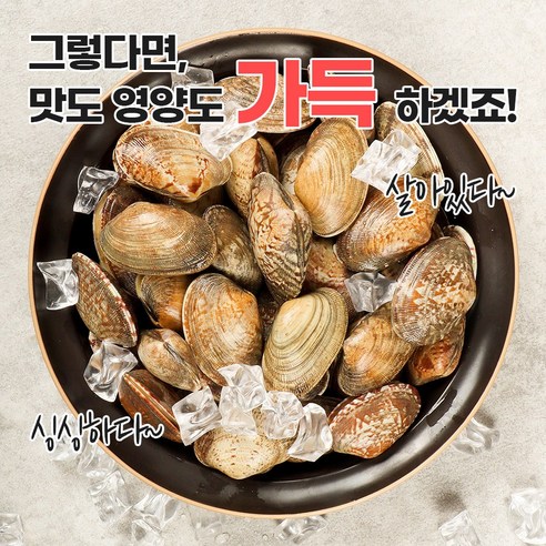 신선함이 넘치는 바다자리 다이버 왕 바지락