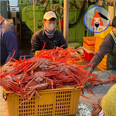 대게  황장군 박달 자숙 연지 홍게 대게 구룡포 3kg 수율 80%이상, 프리미엄박달형홍게 2kg, 1개
