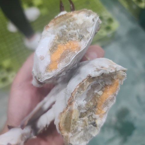 신선한 연평도 꽃게: 집에서 바다의 맛을 즐기세요
