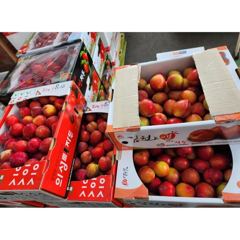 새콤달콤 후무사 자두 중소과 1kg (25-35과 내외) 의성 김천, 1개