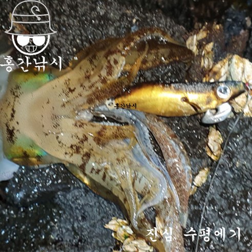 진심으로 고퀄리티 수평에기입니다.