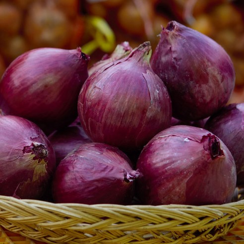 황토밭 무안 와송 자색 양파 3kg 5kg (중대혼합), 1박스, 자색양파 3kg (중대혼합)