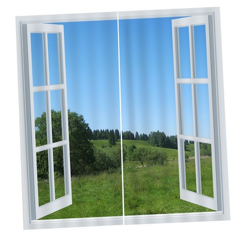 WJSHOP 2Pcs 풍경 풍경 창 문 커튼 블라인드 3D 인쇄 된 장식, 4, 폴리 에스터