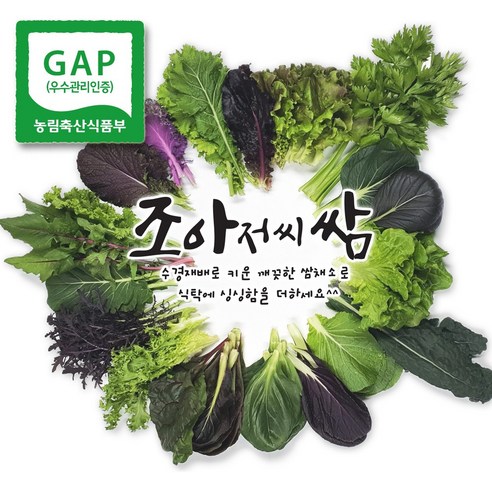 조아쌈 GAP 모듬 쌈채소 샐러드 야채 수확 발송, 셀러드용 800g, 1개