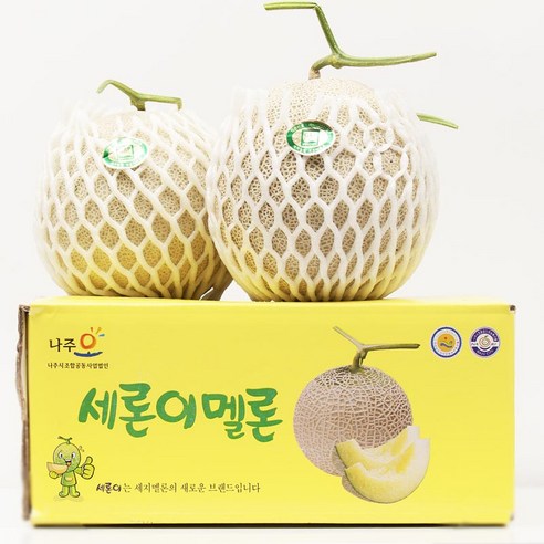 고당도 멜론 특품 세지 메론 5kg 3수 정품, 1_세지메론 5kg 특 3수, 1개