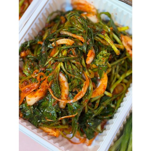 입맛 없을 땐 아삭아삭 홍화순 김치 장아찌