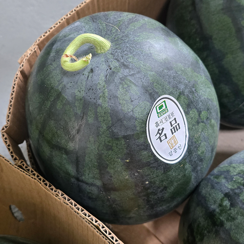 올여름, 실패 없는 달콤함! 14 Brix 흑수박으로 더위를 잊으세요.