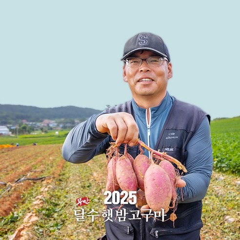 [착한농부] 기영민 무안 황토땅 꿀고구마 10kg #이렇게 달수가