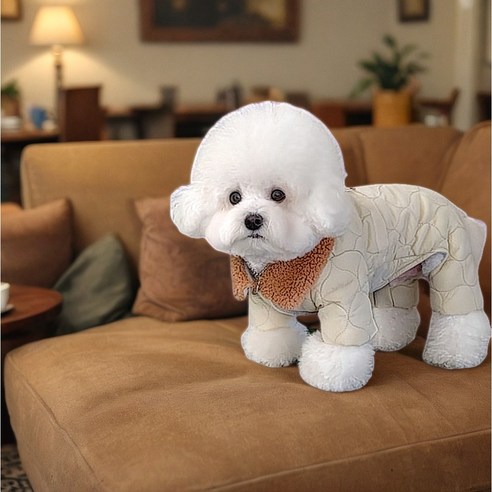 사랑하는 반려견을 위한 최고의 선택