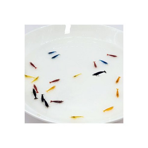 당신의 어항에 다채로운 생기를 불어넣다: 믹스 색상 관상용 새우 이야기 새우키우기