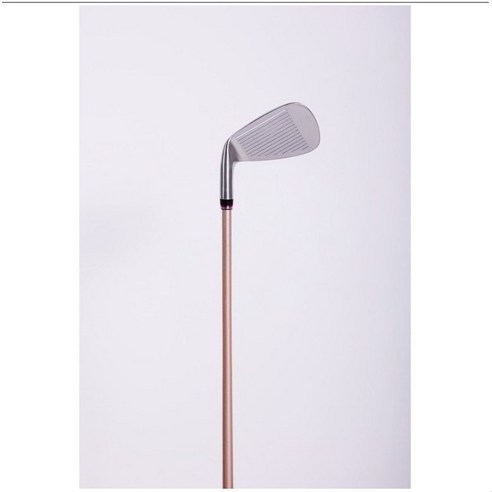 완벽한 여성 골프채 선택