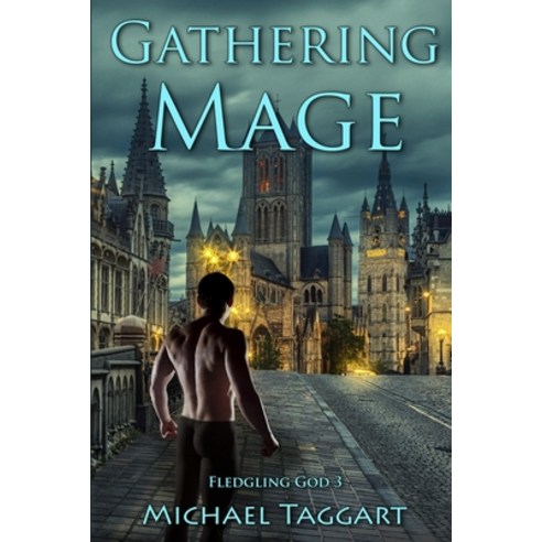 (영문도서) Gathering Mage: Fledgling God: book 3 Paperback, Independently Published, English, 9798429752365